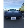 Image 3 : 1980 CHEVROLET CORVETTE SURVIVOR 4 SPEED/350