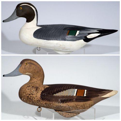 Pintail Duck decoys by Capt. Harry Jobes
