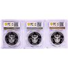 Image 2 : Lot of (3) 2016 Proof South Africa 2 Rand Cheetah Silver Coins PCGS PR70DCAM
