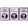 Image 1 : Lot of 2001-W to 2003-W $1 Proof American Silver Eagle Coins NGC PF69 Ultra Cameo