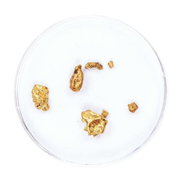 Lot of Gold Nuggets 3.38 Grams Total Weight