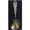 Image 1 : Tiffany Chrysanthemum Berry Spoon