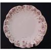 Image 1 : Floravon Austrian Victorian Plates