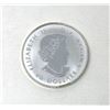 Image 2 : 1/2 Oz. .9999 Silver 2018 Maple Leaves Coin