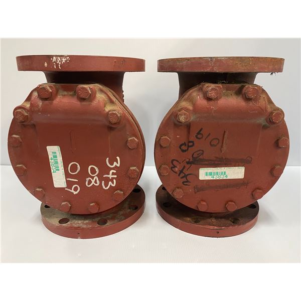 (2) 8 Hole Cast Iron Valves Check, Swing 5", Flange