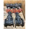 Image 2 : (5) Crane #G-923 Stockham Valve, GATE, MANUAL, 2-1/2", PRESSURE 125#, FLANGE, 4 HOLE, IRON