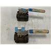 Image 3 : (2) Jamesbury #4CB-2236XTB1 Ball Valves