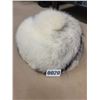 Image 4 : Allairds & A Boutique Hat Kates Canada Fur Hats - No Sizes