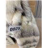 Image 2 : Finestone's Fine Fur Jacket Calgary Alberta Size Unknown *Hole in Shoulder