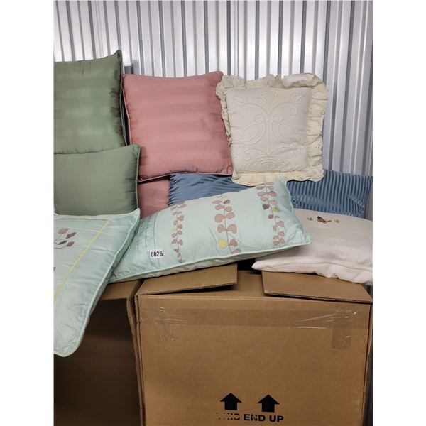 12 Decorative Throw Pillows