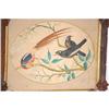 Image 2 : SIGNED 19TH CENT. EXOTIC BIRDS WATERCOLOR - W