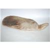 Image 2 : PRIMITIVE WOODEN SEA TURTLE CARVING - LARGE P