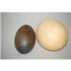 Image 2 : (2) LARGE EGGSHELLS - (1) 7" OSTRICH EGGSHELL