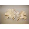 Image 2 : TAGLIARIOL WHITE CERAMIC PIGEONS FIGURINE - F