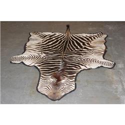 TED WILLIAMS TROPHY HUNTING ZEBRA HIDE PELT -