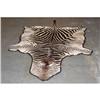 Image 1 : TED WILLIAMS TROPHY HUNTING ZEBRA HIDE PELT -