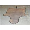 Image 3 : TED WILLIAMS TROPHY HUNTING ZEBRA HIDE PELT -