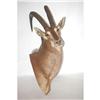 Image 1 : TED WILLIAMS HUNTING TROPHY SABLE ANTELOPE LO