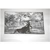 Image 2 : TED WILLIAMS HUNTING TROPHY SABLE ANTELOPE FA