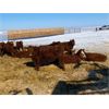 Image 4 : Elkwater Farming Co. - 850# Steers - 128 Head (Elkwater, AB)