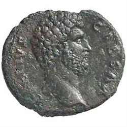 Elio (Cesare 136-138) Asse.