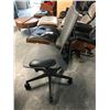 Image 2 : HERMAN MILLER MIRRA GREY/GREY FULLY ADJUSTABLE TASK CHAIR