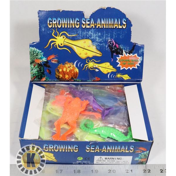 RETAIL BOX OF GROWING SEA ANIMALS