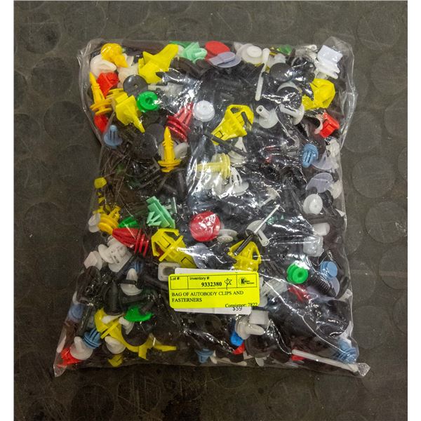 BAG OF AUTOBODY CLIPS AND FASTENERS