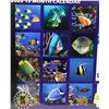 Image 2 : NEW 12 MONTH TROPICAL FISH 2022 CALENDAR