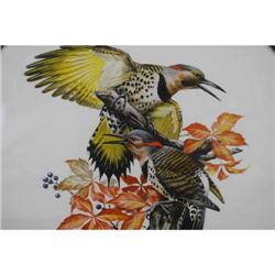 Roger Tory Peterson Bird Print - Resigned
