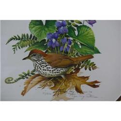 Roger Tory Peterson Bird Print - Resigned