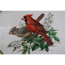 Roger Tory Peterson Cardinal Print - Resigned