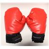 Image 1 : PAIR BOXING GLOVES