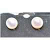 Image 1 : #175-FRESH WATER PEARL STUD EARRINGS