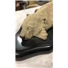 Image 2 : KEITH SANDULAK POLAR DREAMS BEAR FIGURES