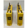 Image 3 : (2) Fanuc # A02B-0198-B501 Drives