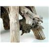 Image 3 : A RUSTIC BLEACHED DRIFTWOOD AND PINE TABLE