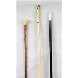 THREE WALKING STICKS