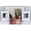 Image 1 : THREE FRAMED PHOTOGRAPHS