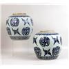 Image 1 : A PAIR OF QING DYNASTY BLUE AND WHITE POTTERY GINGER JARS