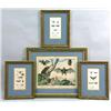 Image 1 : FOUR FRAMED PRINTS OF INSECTS AND BATS