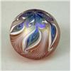 Image 5 : SEVEN PAPERWEIGHTS