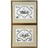 Image 1 : A PAIR OF FRAMED HAND-TINTED PRINTS