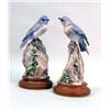 Image 1 : A PAIR OF DOROTHY DOUGHTY MOUNTAIN BLUEBIRDS