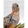 Image 2 : A BOEHM LIMITED EDITION PORCELAIN WOODCOCK