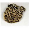 Image 3 : A LEOPARD JACKET AND HAT