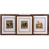 Image 1 : THREE FRAMED LITHOGRAPHS OF POULTRY