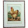 Image 3 : THREE FRAMED LITHOGRAPHS OF POULTRY