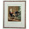Image 4 : THREE FRAMED LITHOGRAPHS OF POULTRY