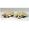 Image 1 : A PAIR OF CAST-STONE TURTLES